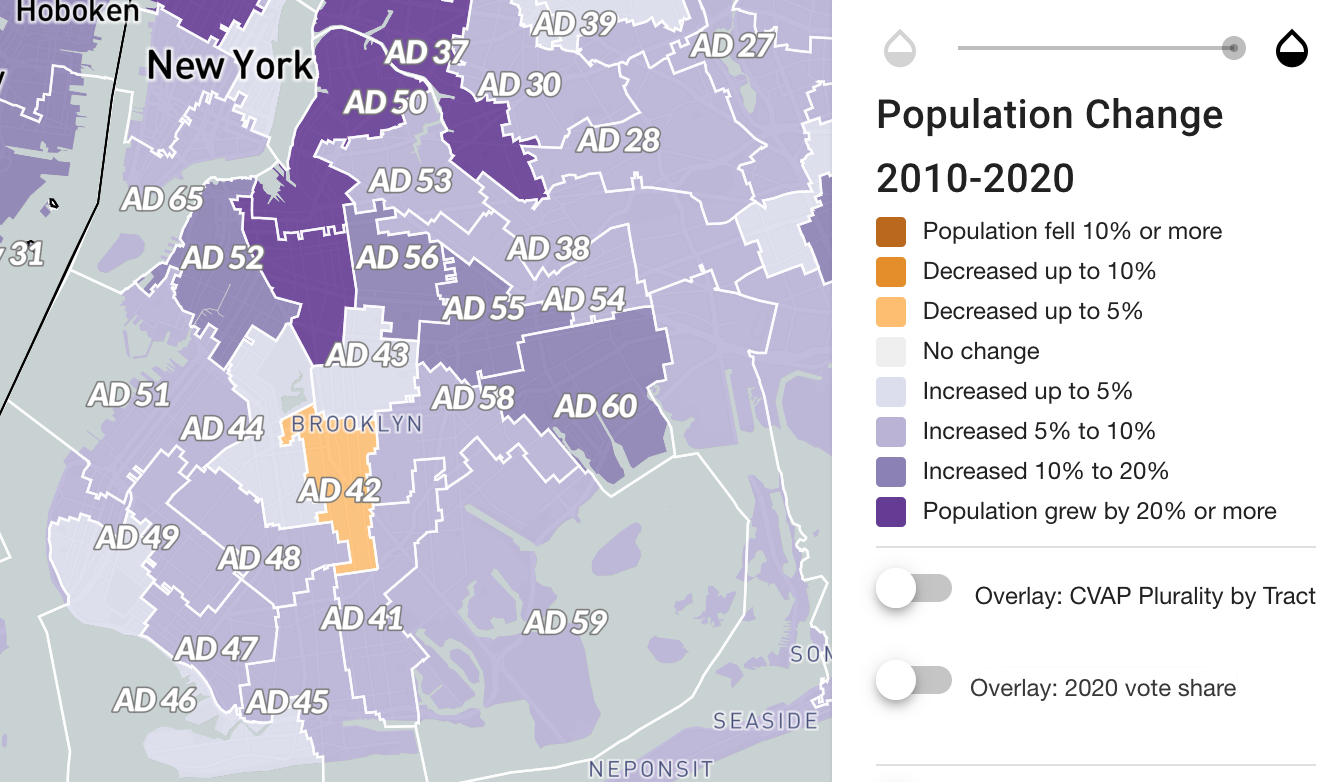 What Does the New Census Data Tell Us About Brooklyn?