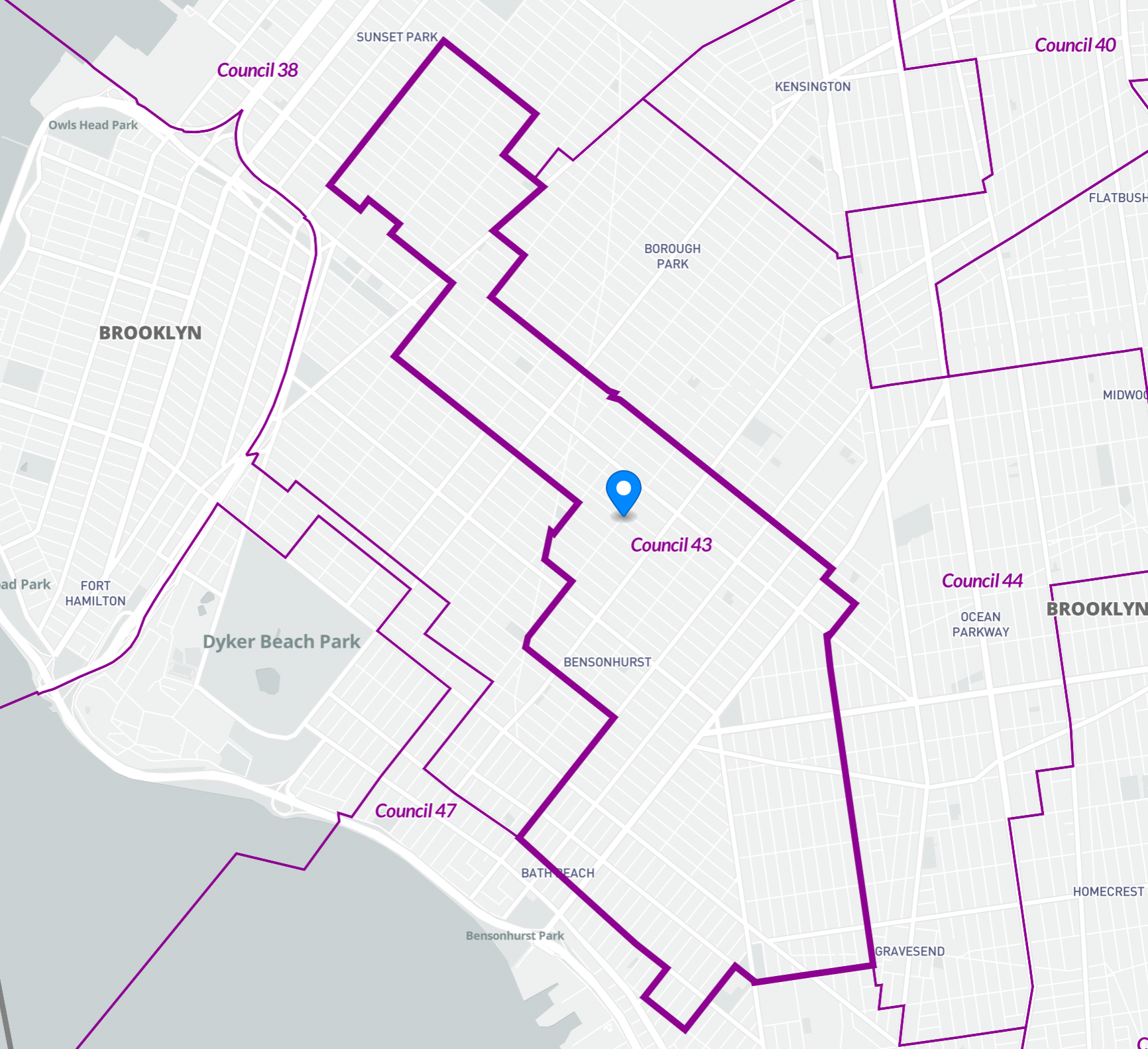 NYC Council Primaries: District 43