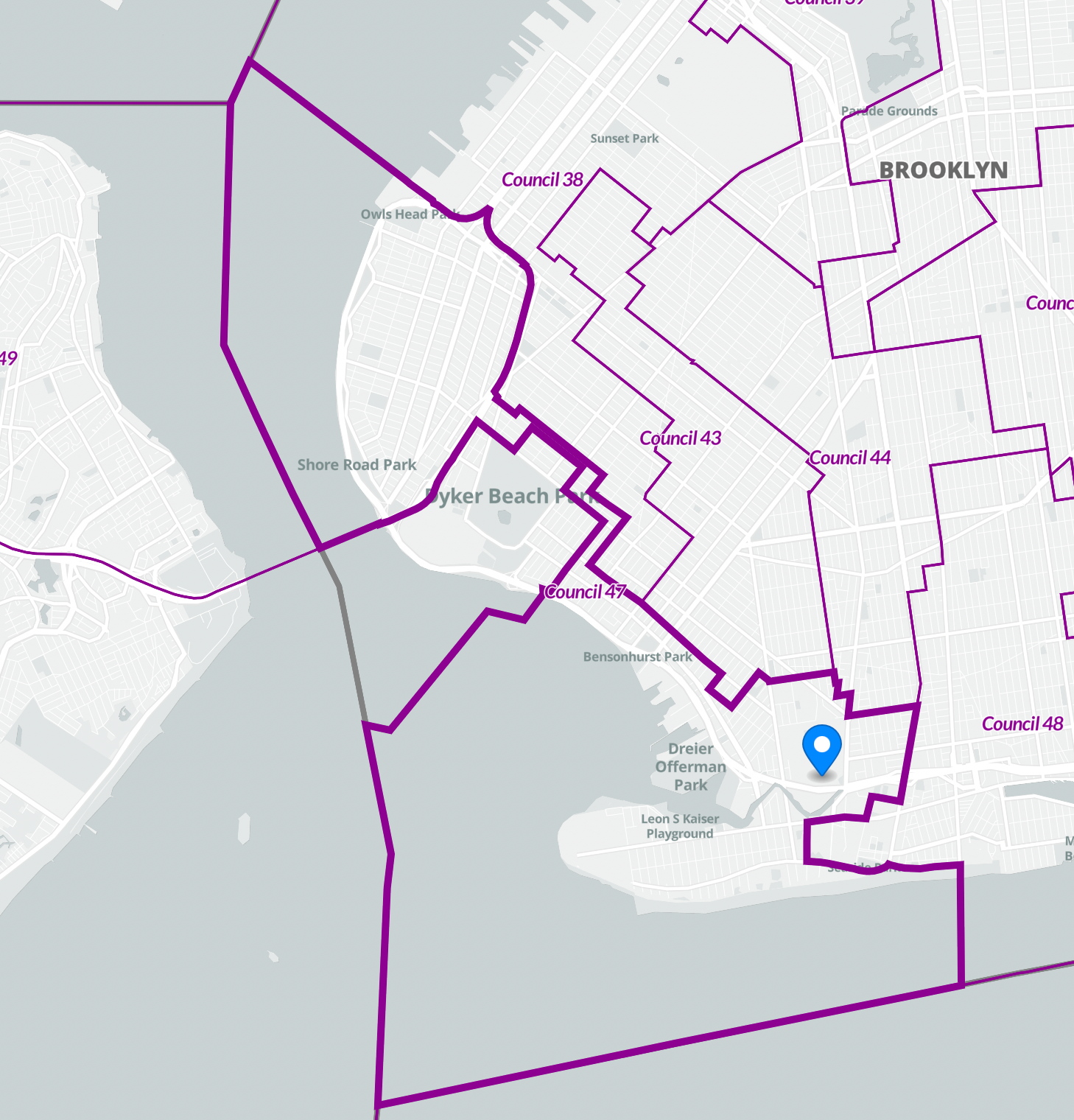 NYC Council Primaries: District 47