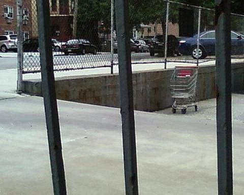 shopping cart empty lot reader submission 1