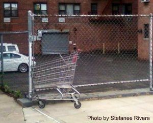 shopping cart doody 2a