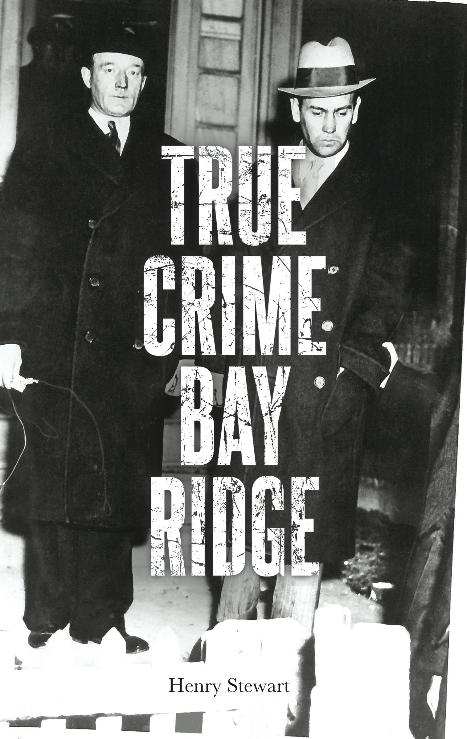 A New Book For History Lovers: True Crime Bay Ridge
