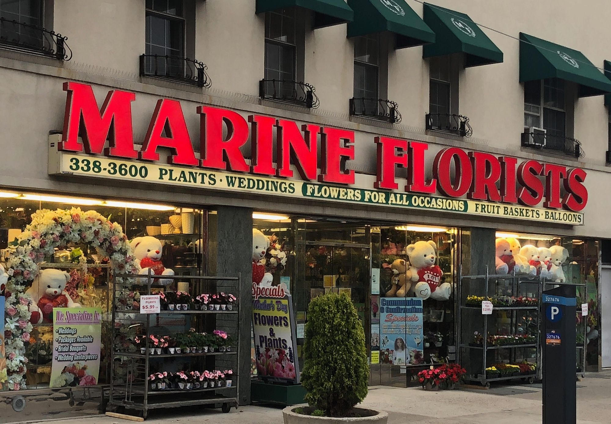 100 Roses with Diamonds in Brooklyn NY - Marine Florists