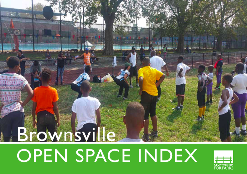 Brownsville Parks Report Shows Need for Investment, Advocacy