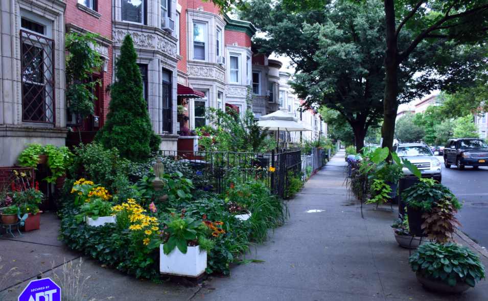Greenest Block In Brooklyn Awarded To Prospect-Lefferts Gardens