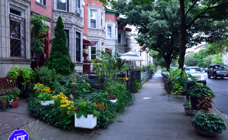 Greenest Block In Brooklyn Awarded To ProspectLefferts Gardens Bklyner