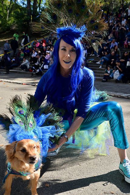 Great PUPkin Dog Costume Contest