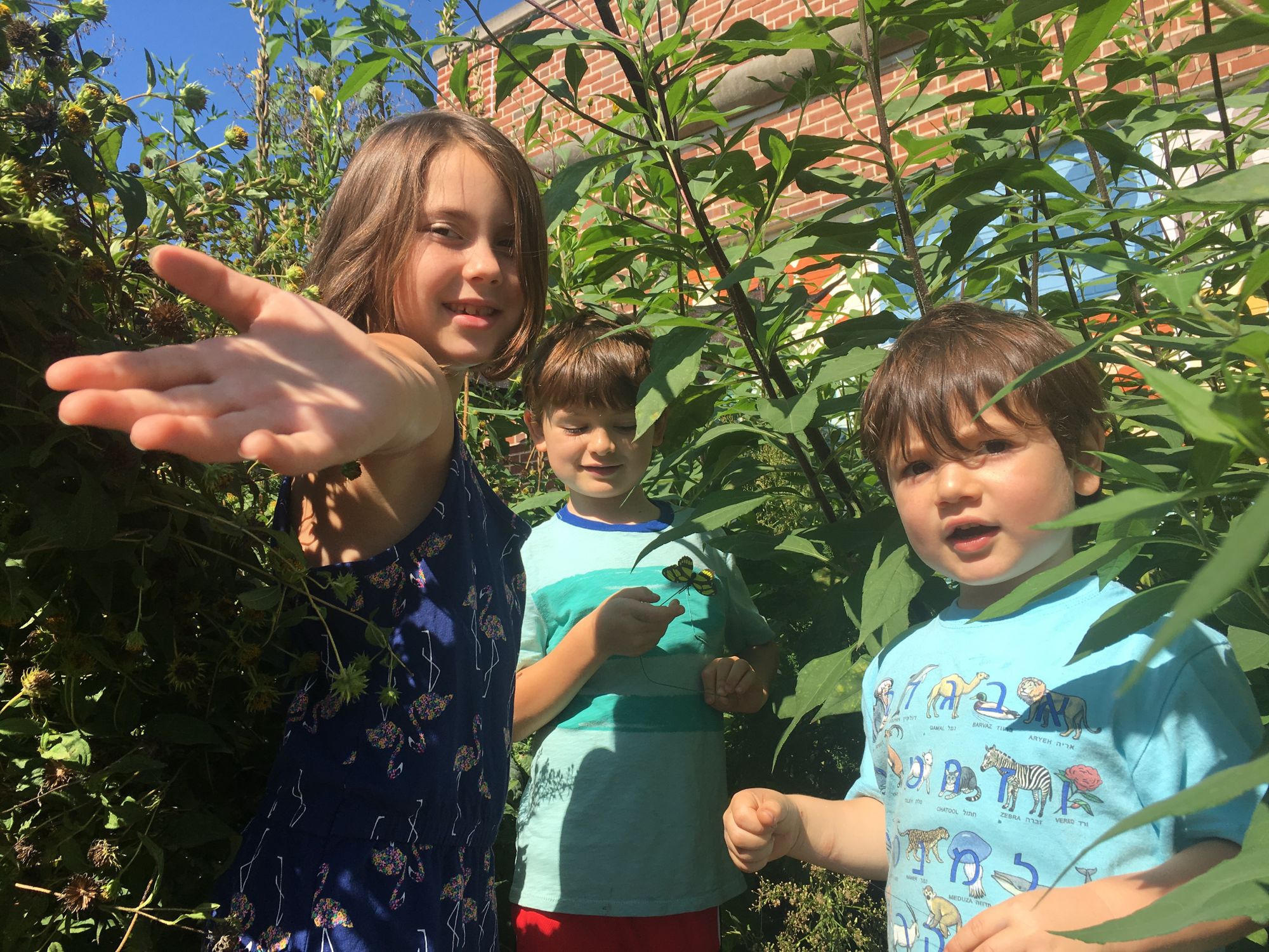 Garden Train Takes Root: The First Annual Brooklyn School Gardens Crawl