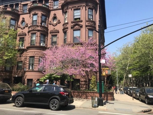 Will Razing A Tenants' Garden On Prospect Park West Solve A Rat Problem? -  Bklyner