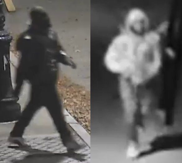 Police Searching For Man Who Raped And Robbed Woman In Prospect Park