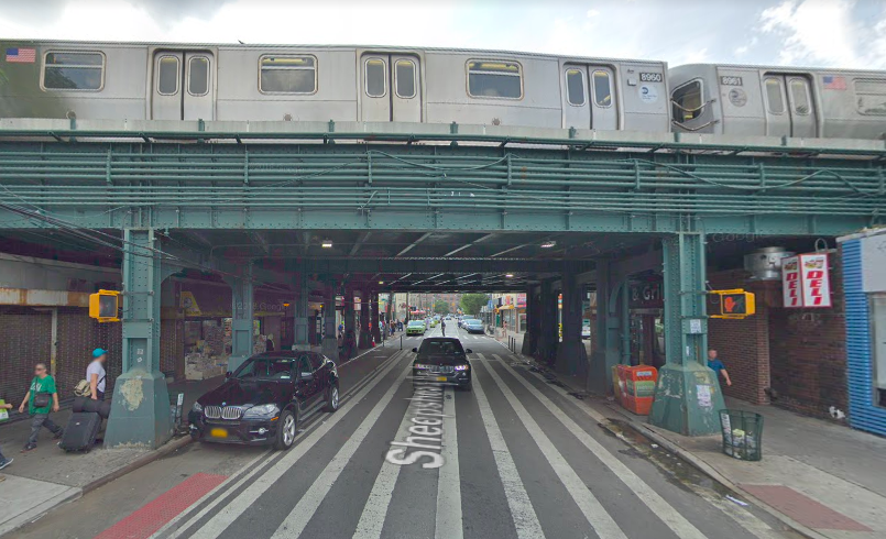 Tree falls onto tracks in Brooklyn, causing temporary subway delays: MTA