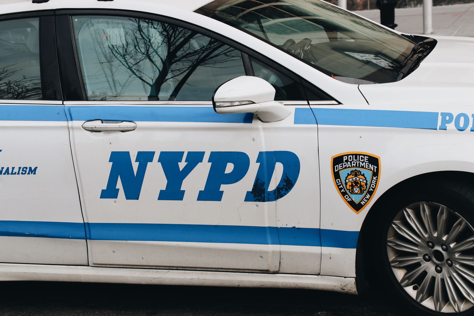Two Deaths in the 73rd Precinct