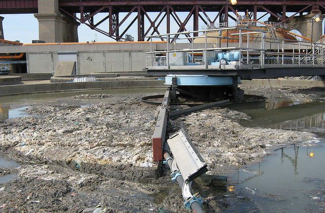 An accumulation of grease and solid debris that make its way into New York City's sewage system. (Photo compliments of NYC Department of Environmental Protection)