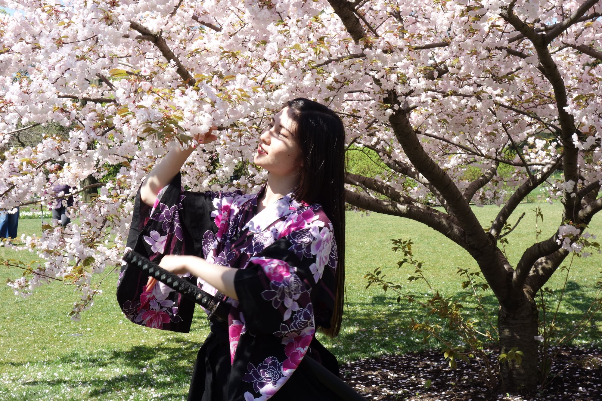 Kaoru Tani of the Yoshi Amao and Samurai Sword Soul poses by bloomed cherry blossom. (Photo Kadia Goba/Bklyner)