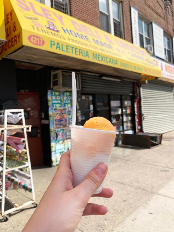 Ten Amazing Ice Cream Shops in Brooklyn - Bklyner