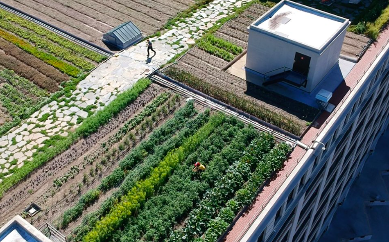 Brooklyn Grange Debuts NYC’s Largest Rooftop Farm In Sunset Park