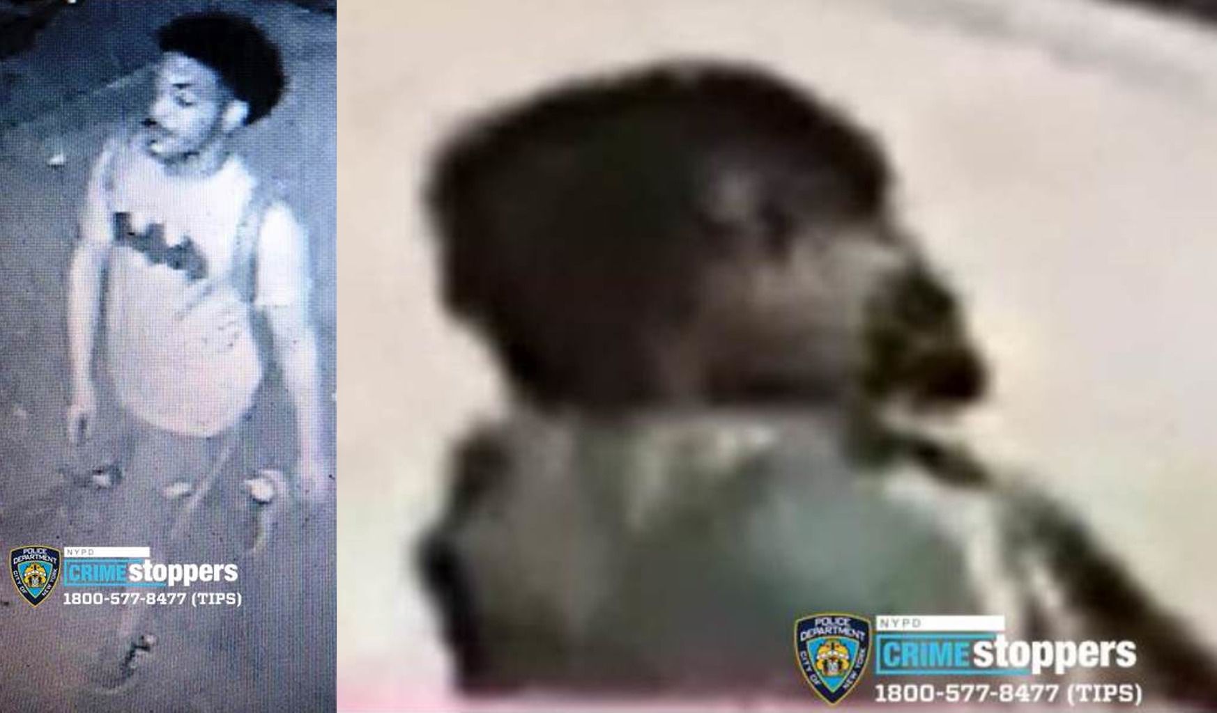 Cops Release Photos In Park Slope Attempted Rapes