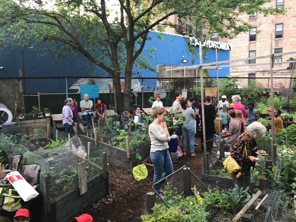 Q Gardens Awarded NYC Parks GreenThumb “Sustainability” Award 