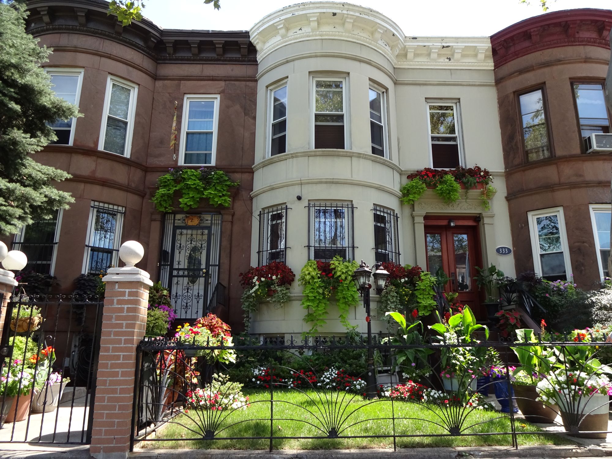 Greenest Block in Brooklyn Bklyner