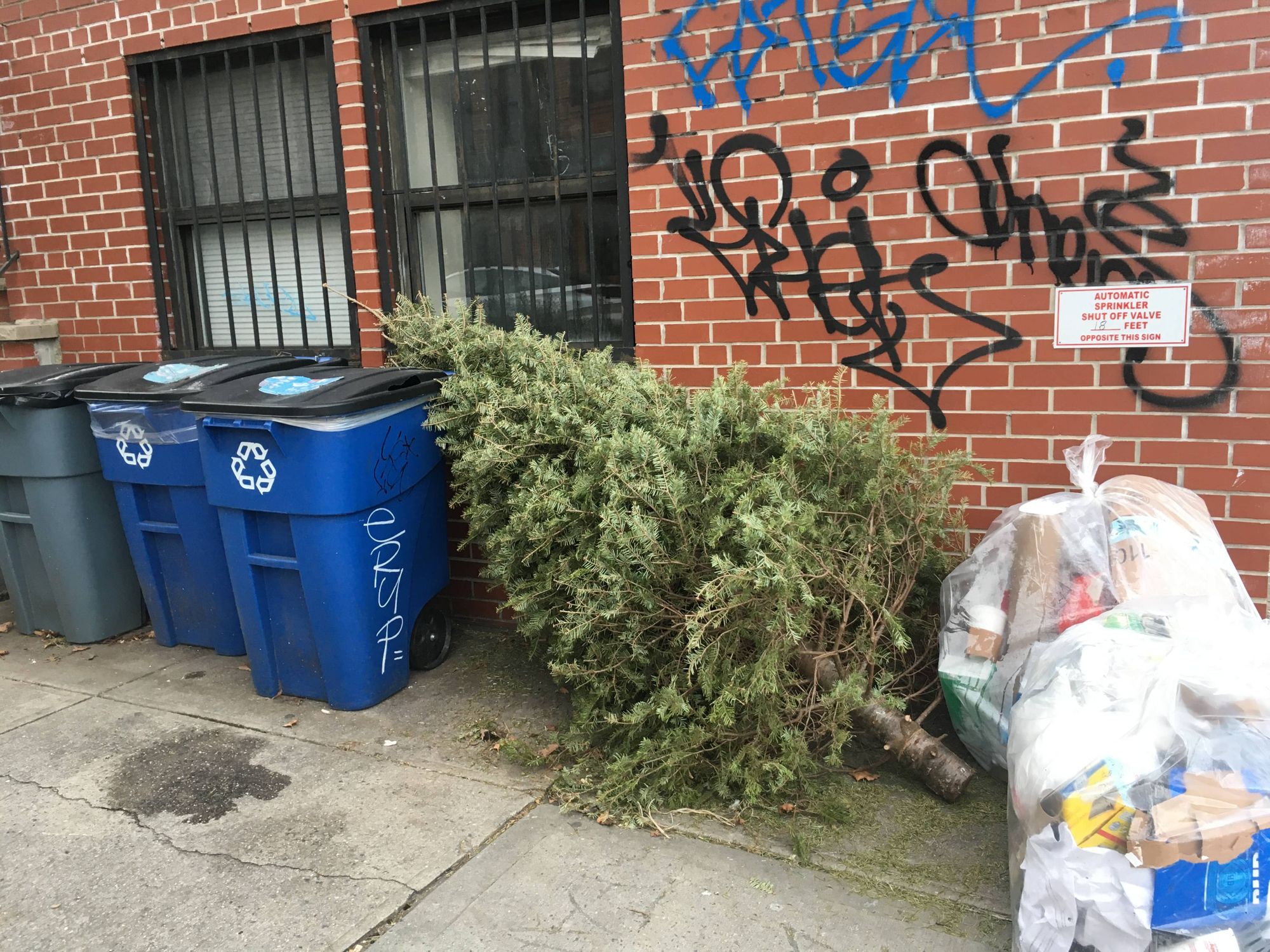 Mulchfest 2020 Here's How to Dispose of that Christmas Tree Bklyner