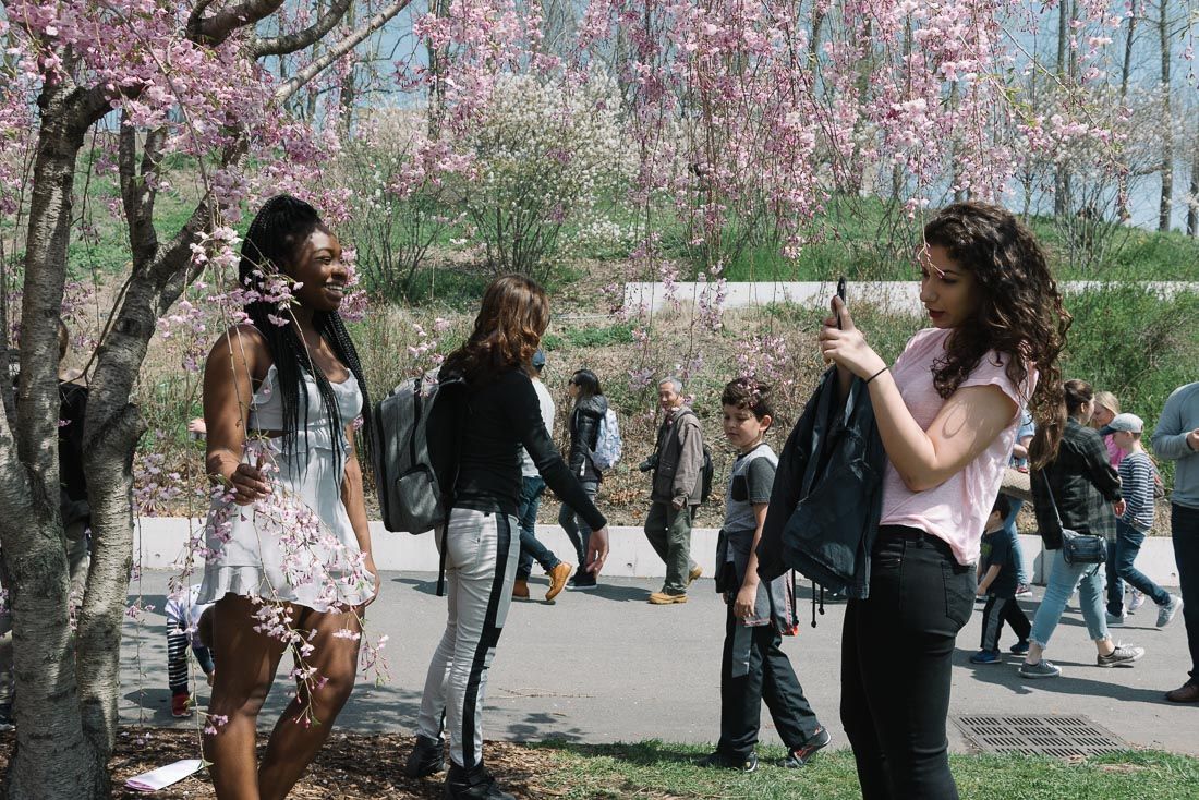 Briefing 3/26 Sakura Matsuri Canceled, Online Metrocard Exchange