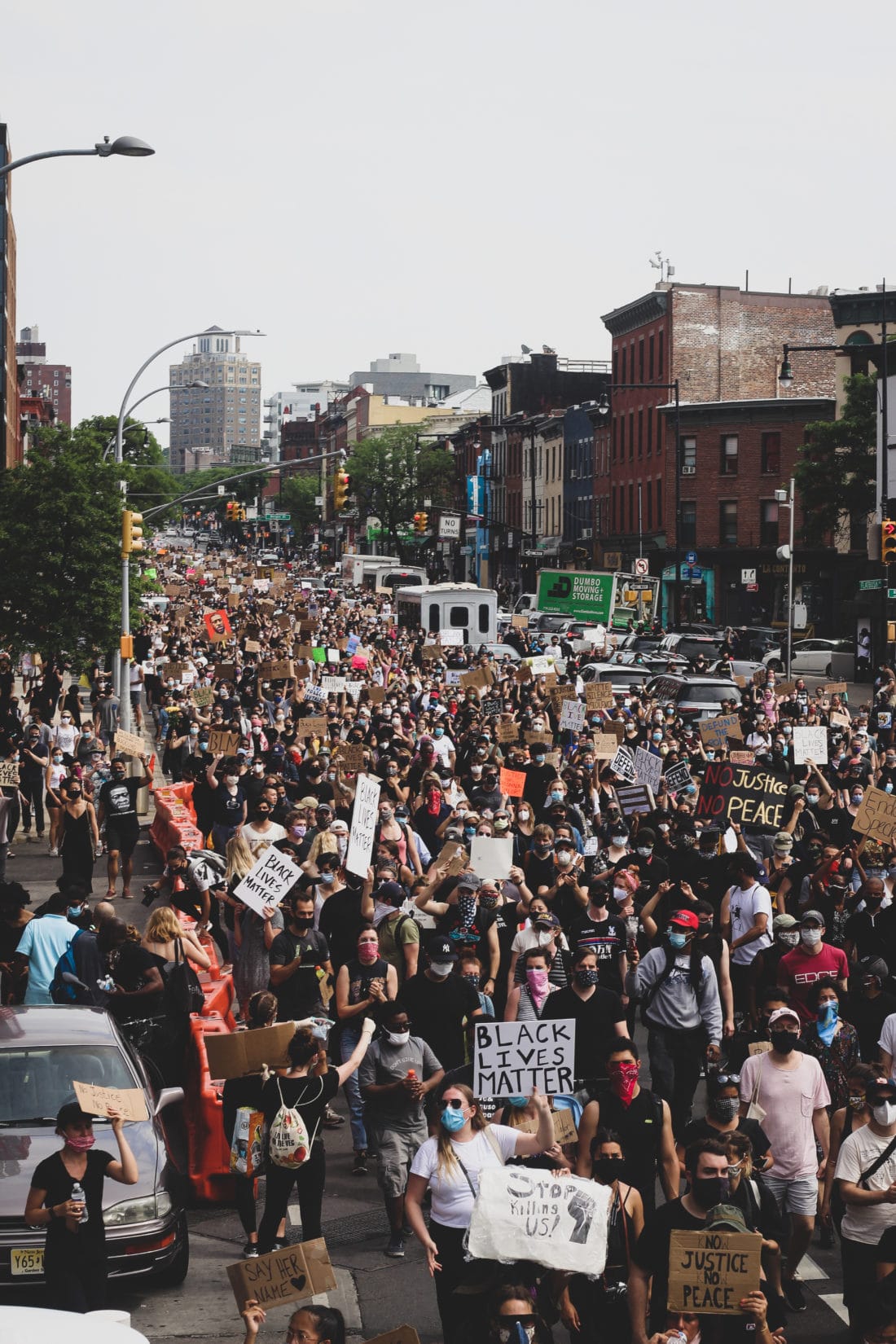 in Brooklyn Activism, Education, And Other Ways To