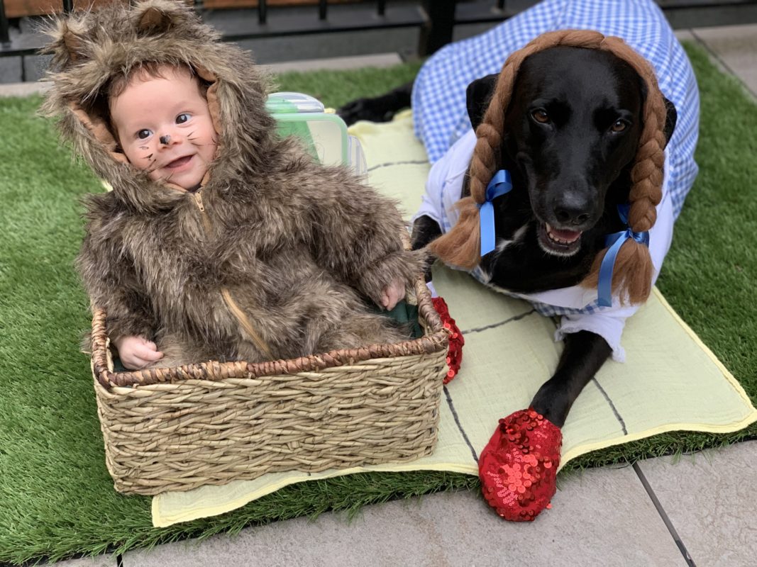 Fort Greene S 22nd Annual Great Pupkin Goes Virtual Photos Bklyner