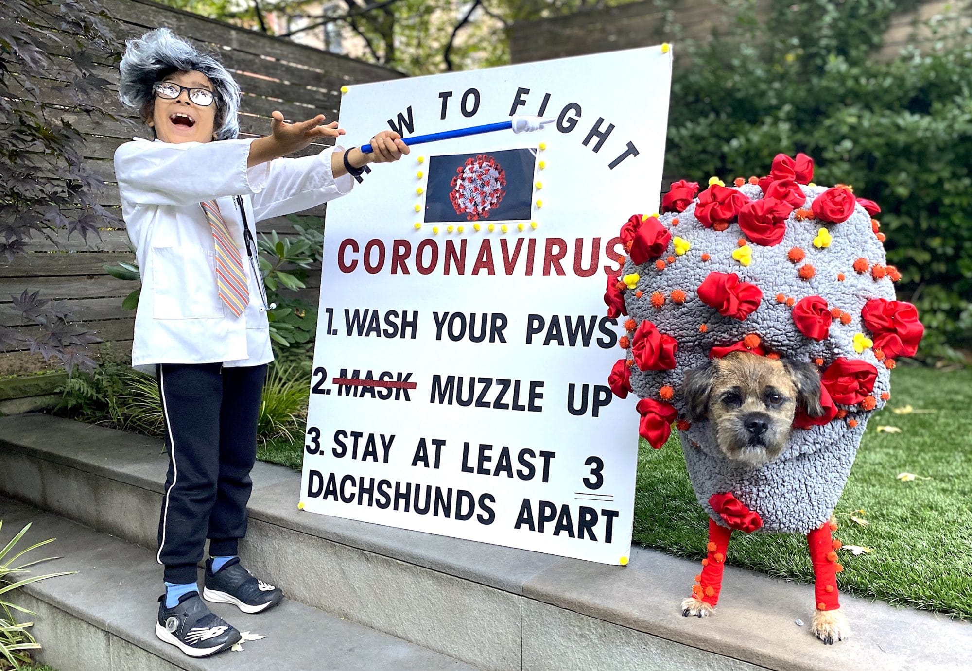 Photos: Fort Greene dog costume contest