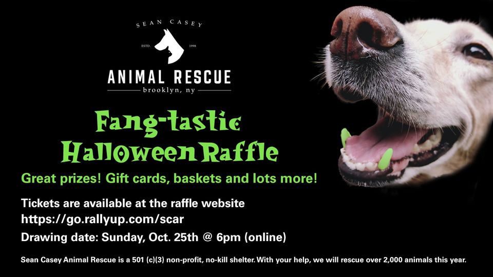 It's time for our Spring Raffle! Drawing May 1st! — Sean Casey Animal Rescue