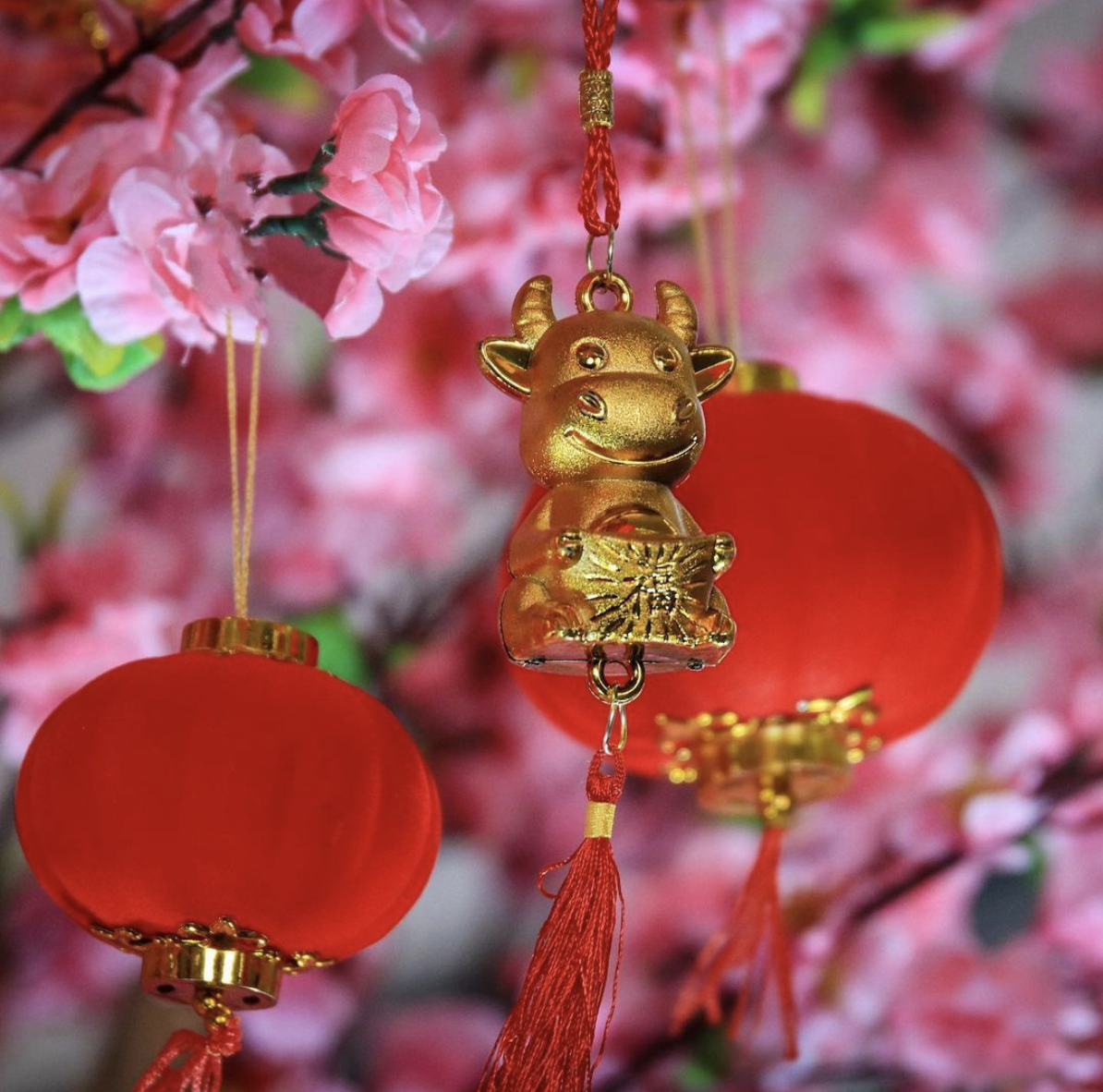 Happy Lunar New Year To You!
