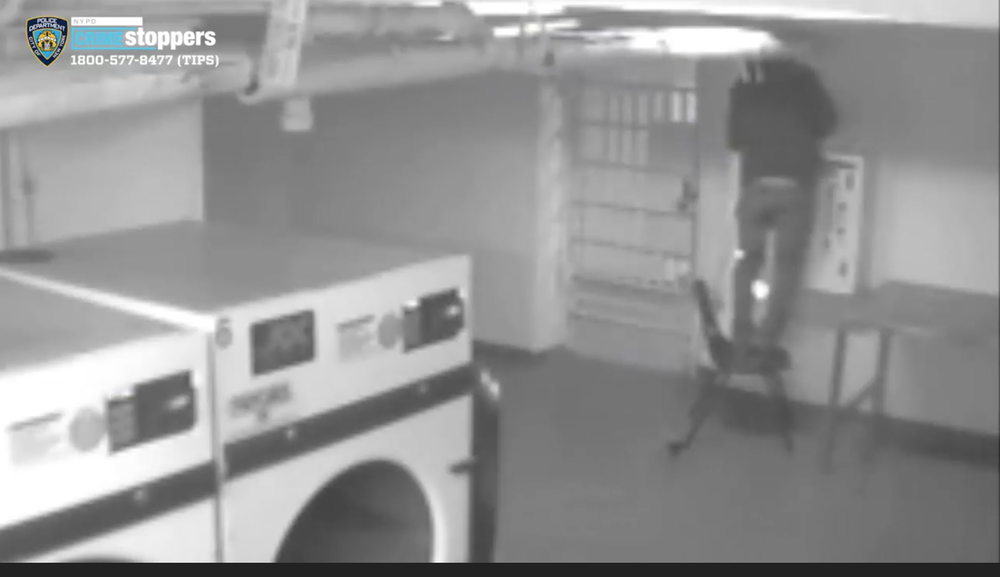 watch the laundry guy watch the laundry guy