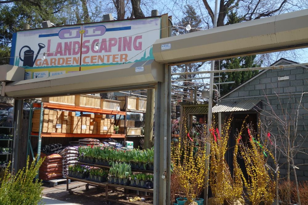 Where To Buy Plants In Brooklyn Bklyner