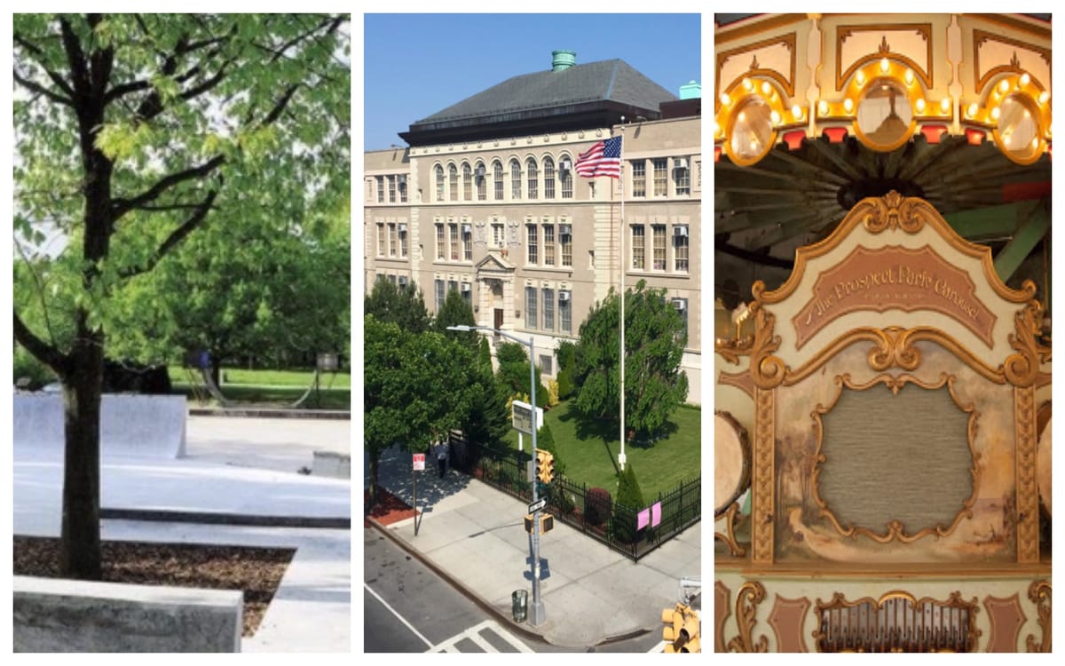 Skate Garden, Prospect Park Children’s Corner and PS131 Bathroom Reno Among District 39 Participatory Budgeting Winners