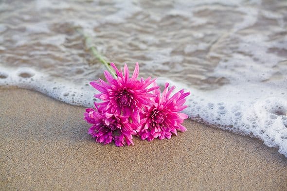 Things To Do In Southern Brooklyn: Job Fair, Resiliency Planning And Local History