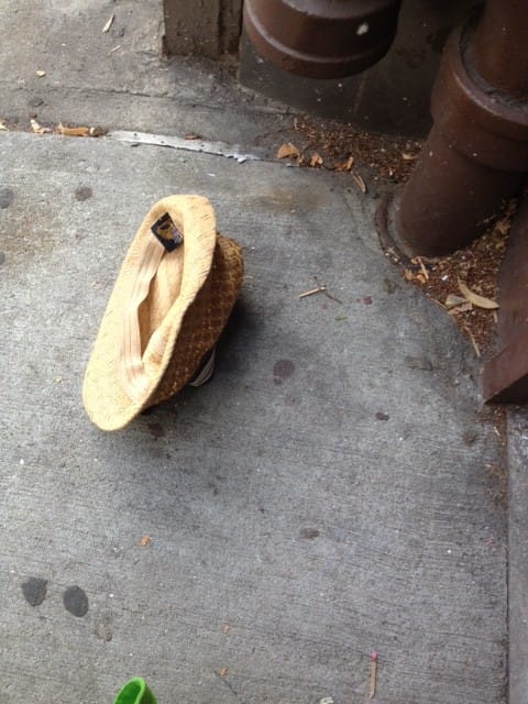 Coincidence on Cortelyou?