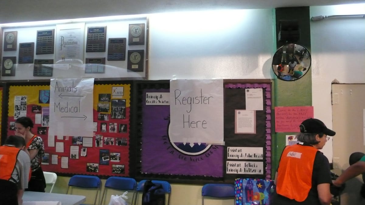 Updated Ways to Help in Brooklyn