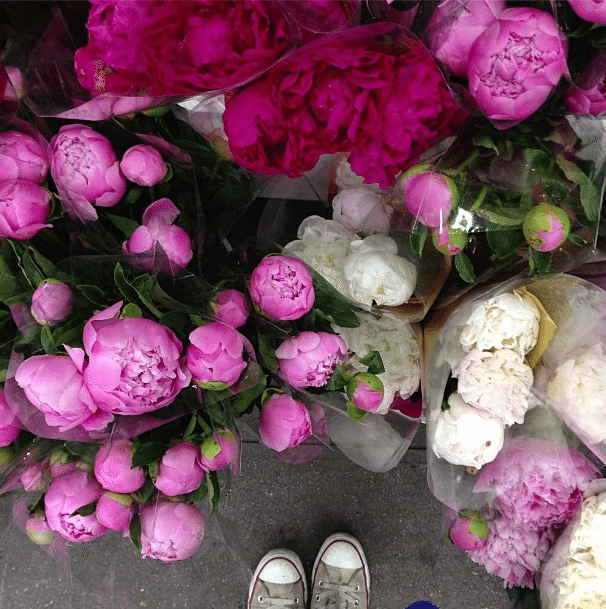 Photo Of The Day: Plenty Of Peonies