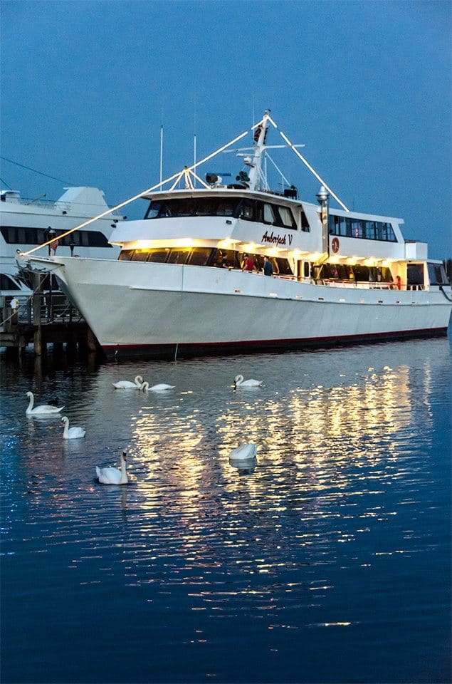 “Party Boats” Coming To Mill Basin Next Week – This Is ALL The Notice We Get? – OPINION