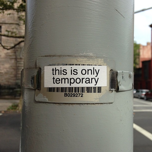 Photo Of The Day: Object Permanence