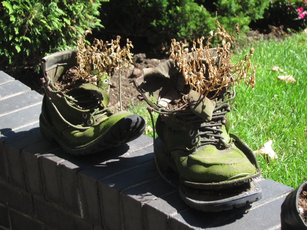 Photo Of The Day: Fall Is Here