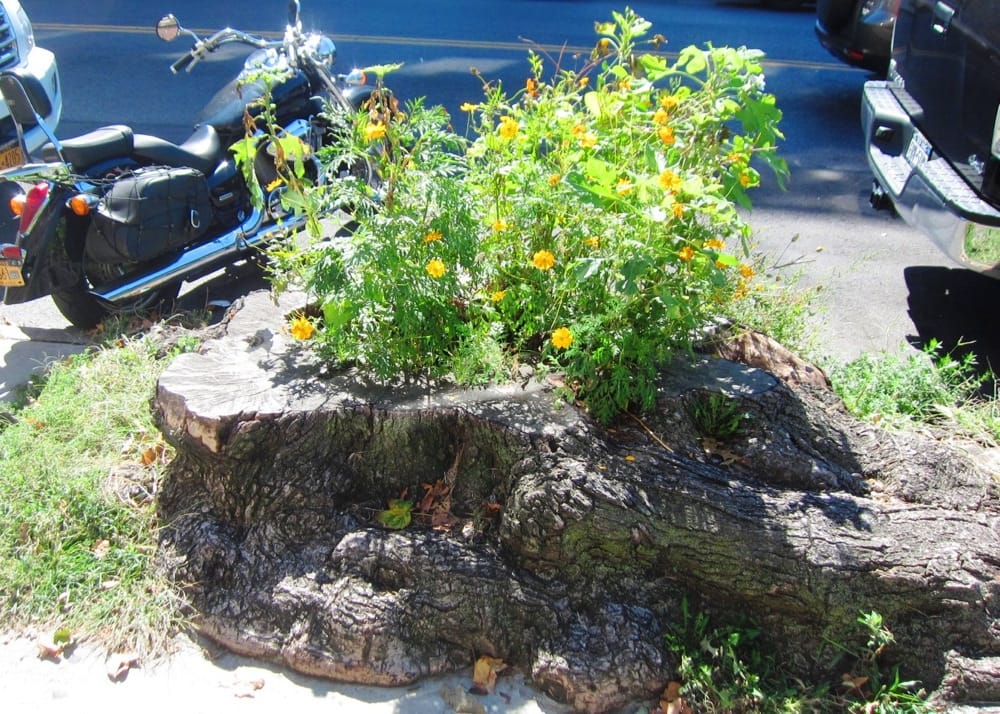 Photo Of The Day: Fall Is Here, 3