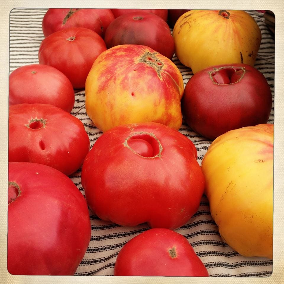 Gather Your Fall Harvest At This Week’s P.S. 295 Market