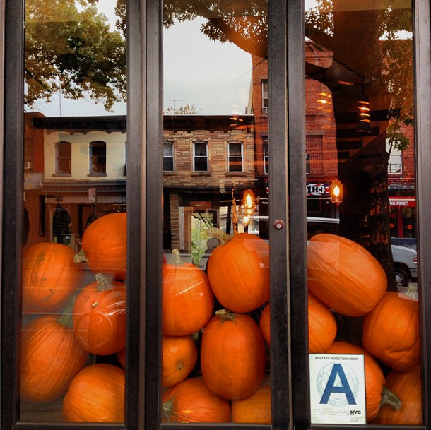 Photo Of The Day: Stuffed