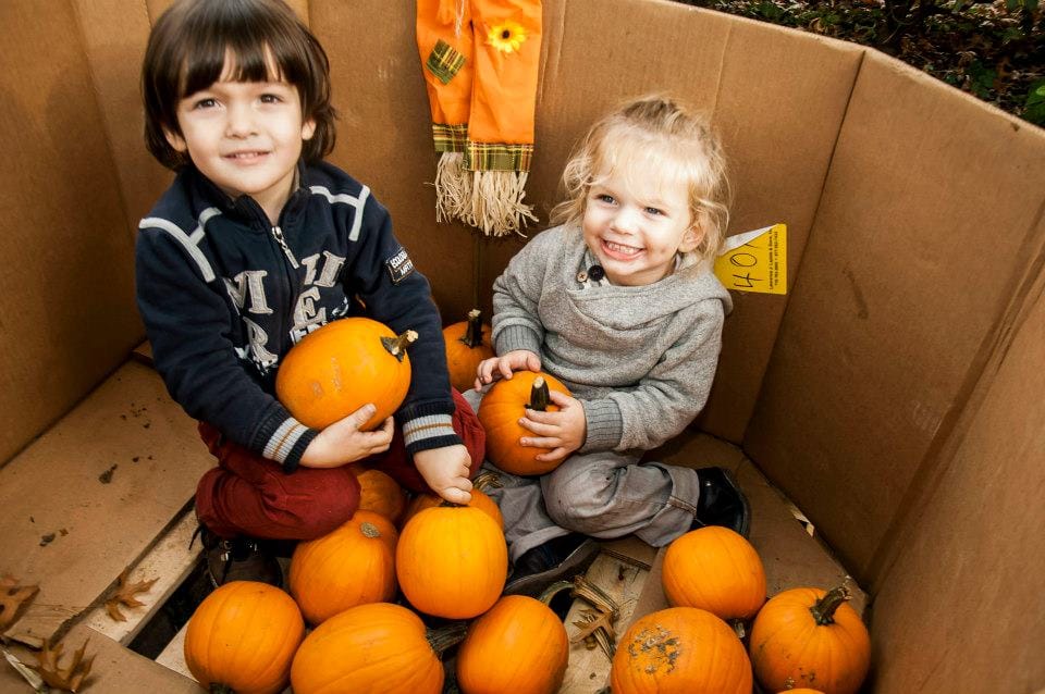 Children’s Fall Fest Returns To Flatbush Avenue For Two Weekends