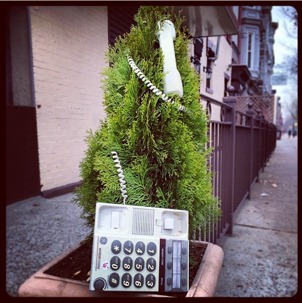 Photo Of The Day: Hello?