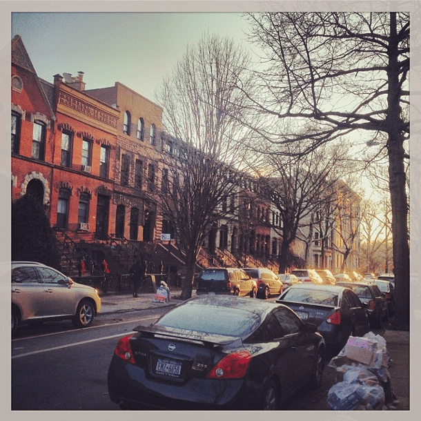 Photo Of The Day: Won’t You Be My Neighbor?