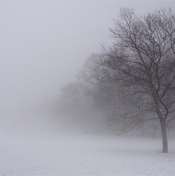Photo Of The Day: Fog