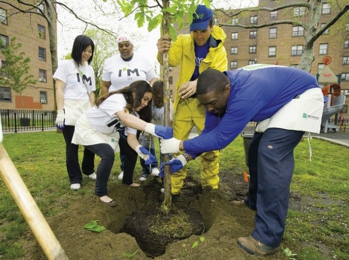 Pick Up Free Mulch And Trees At Green-Wood Cemetery March 15