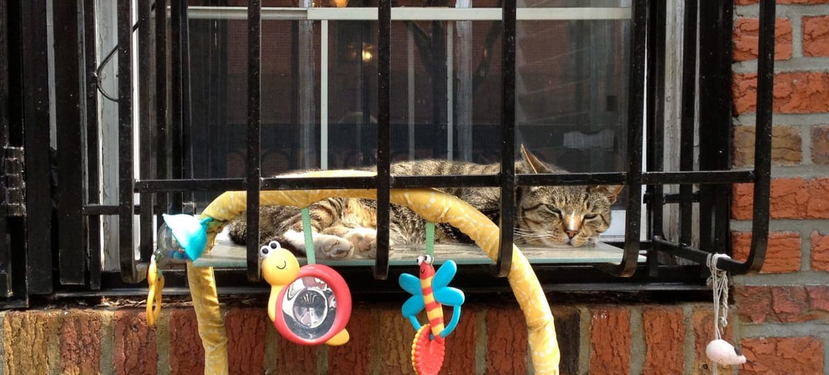 Photo Of The Day: Air Catditioner