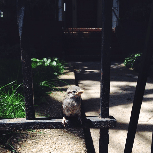 What Are You Lookin’ At?